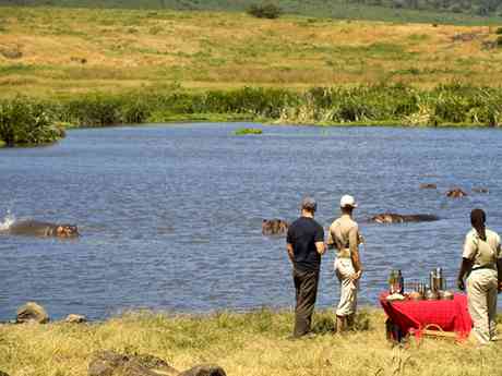 Luxury Migration, Lake & Crater Safari